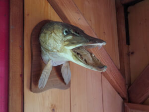 Amicale Musee Peche 30 300x225